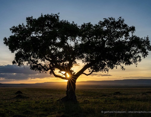 Gallery Of Photography By Gerhard Hüdepohl - Chile