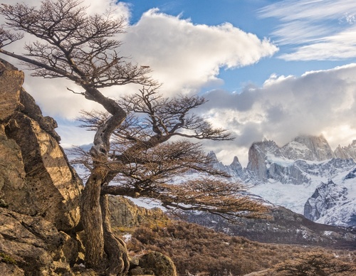 Galería De Fotografía De Diego Spatafore - Argentina