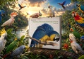 Illustrations of the Family of Psittacidae, or Parrots