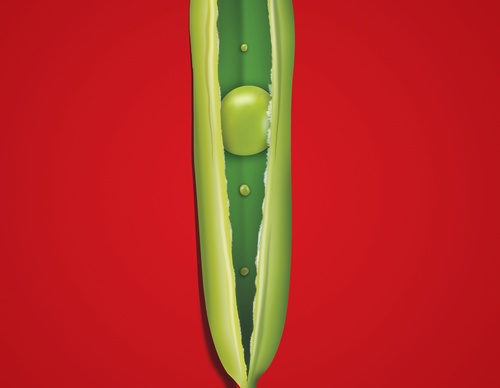 Galería de Diseño Gráfico por Hamed Maghruri - Irán