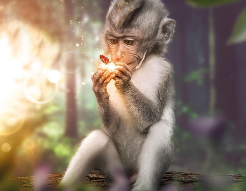 Galería de fotografías de Evgeny Gammer - Rusia