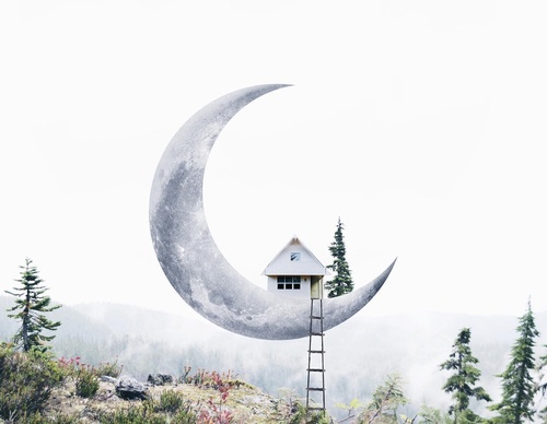 Galería De Ilustración De Luisa Azevedo - Portugal