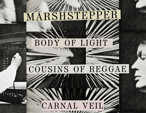 gabriel jasmin marshstepper