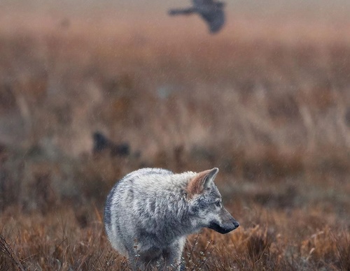Gallery Of Photography By Elias Kalliola - USA
