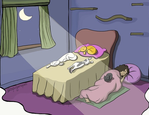 claudia stella resende