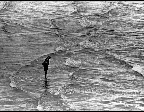 elliott erwitt