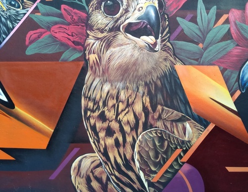 Galería de arte callejero de Nashi Bime - México