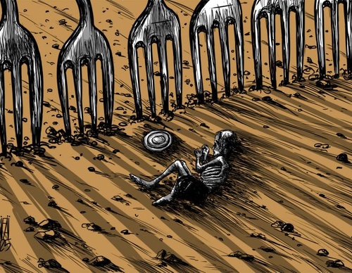 mahmoud rifai