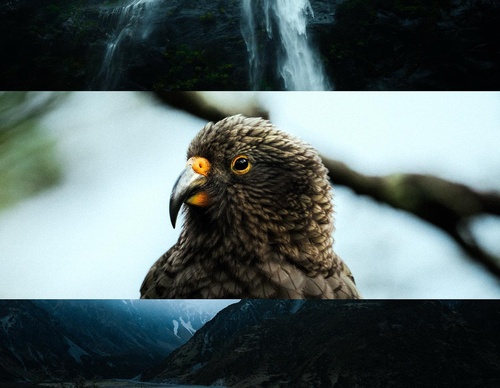 Gallery Of Photography By Luke - United Kingdom