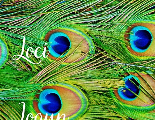 claudia stella resende