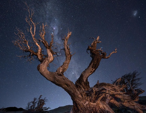 Galería de fotografía de Greg Boratyn - Argentina