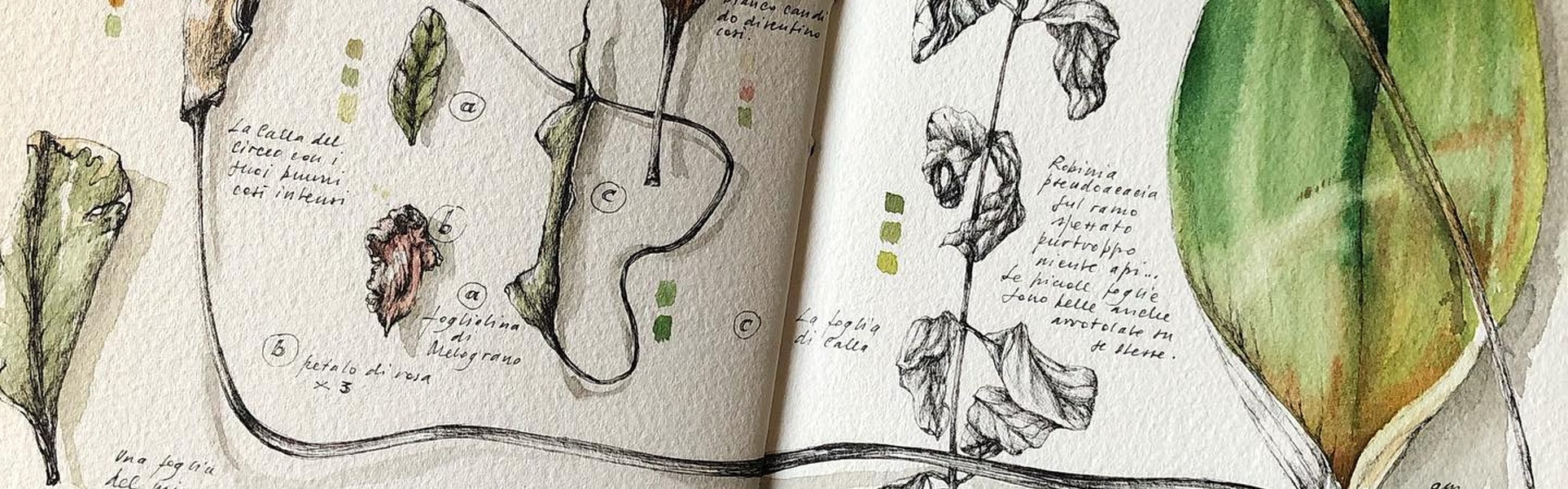 Gallery of Drawing by GiacoMina Ferrillo-Italy
