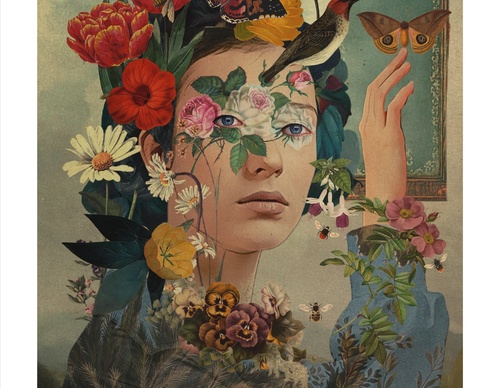 Galeria de ilustrações de Sarah Jarrett - Jamaica