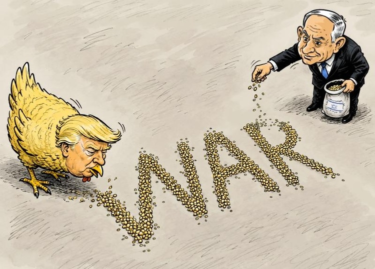 Grains of War