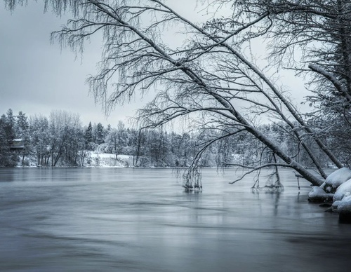 Galeria de Fotografia de Jarno Miettinen - Finlândia