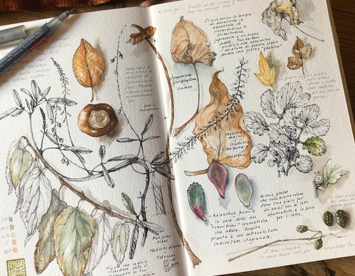 Gallery of Drawing by GiacoMina Ferrillo-Italy