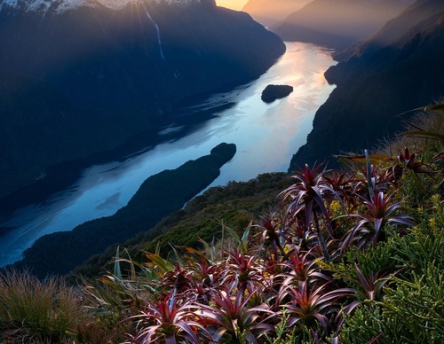 Galeria de fotografias de William Patino - Nova Zelândia