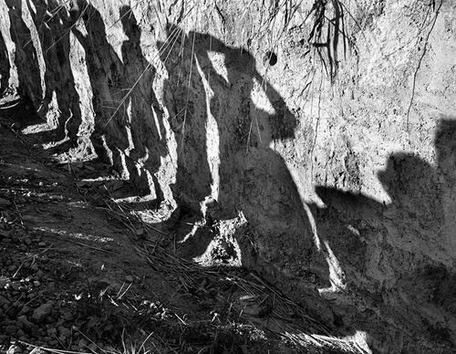susan meiselas