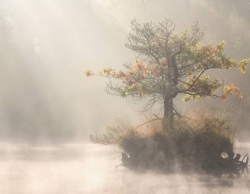 Galería de fotografía de Gijs de Reijke - Holanda