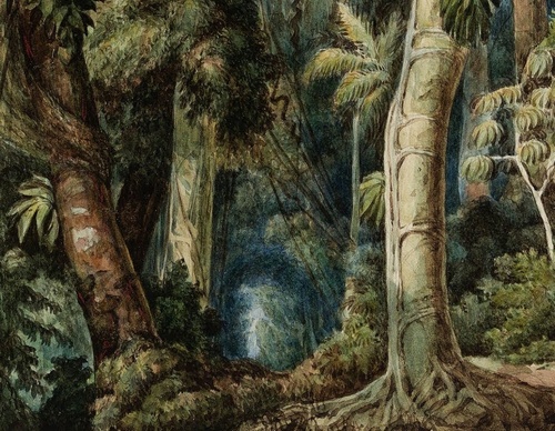 Gallery Of Painting By Manuel de Araujo-Brazil