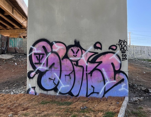 Gallery Of Street Art By Rafael Sliks - Brazil