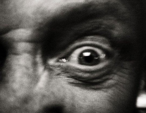 knut koivisto