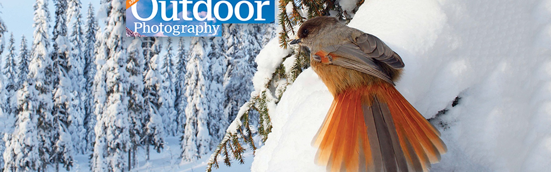 Outdoor Photography 2013 01