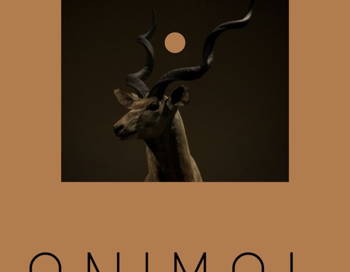 blank poster animal