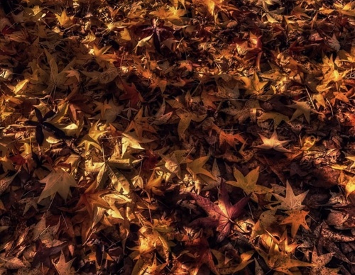 Gallery of Photography by Angela Petruzzelli - Italy