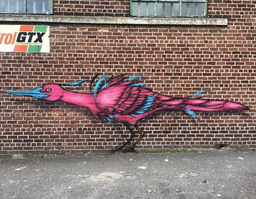Gallery Of Street Art By Bailon - Brazil