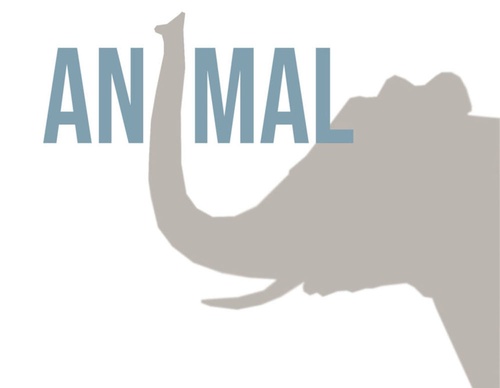 blank poster animal