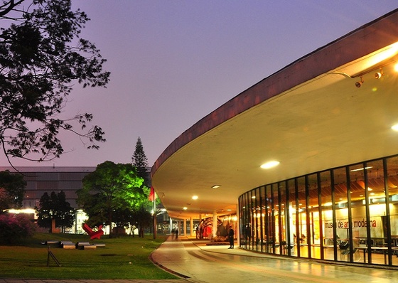 25 obras de arte contemporáneo de artistas latinoamericanos en el Museo de Arte Moderno de São Paulo