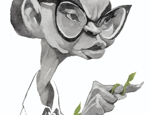 kleber sales co brasil