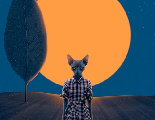 Galería de ilustraciones de Hugo - Estados Unidos