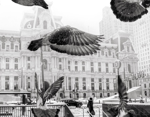 william smith