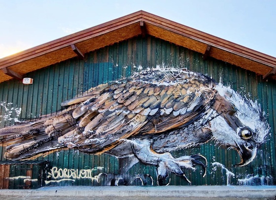 Artur Bordalo
