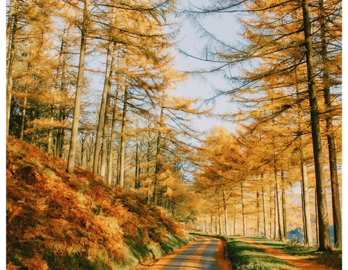 Gallery Of Photography By Daniel Casson - United Kingdom