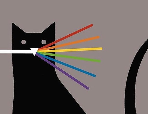 Gallery of Illustration and Graphic design by Pablo Amargo-Spain