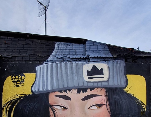 Gallery Of Street Art By GardPam - Brazil