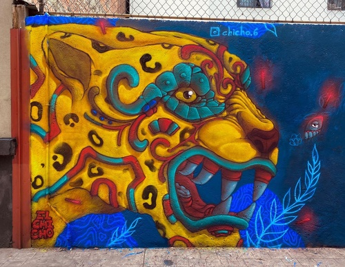 Gallery Of Street Art By Elchicho - Mexico