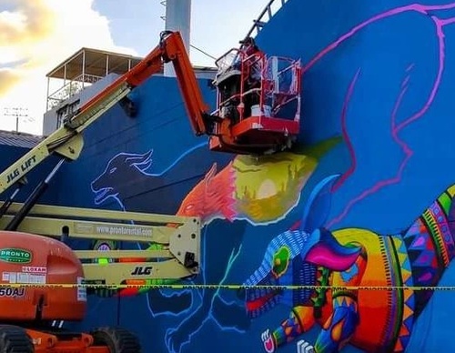 Galería de arte callejero de Spaik - México