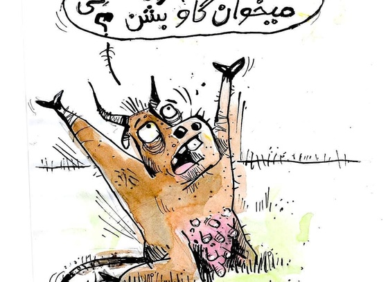Faez Alidoosti