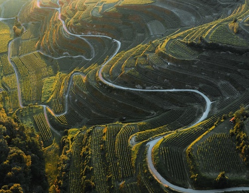 Galeria de fotografias de Long-Nong Huang - Alemanha