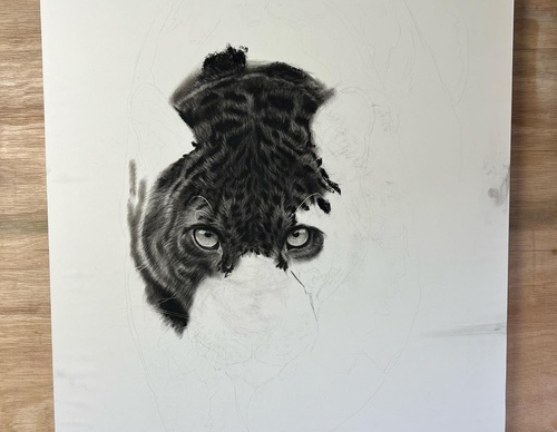 Gallery Of Realistic Painting By Daniel Wilson - United Kingdom