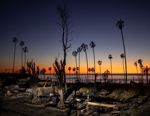 world press photo