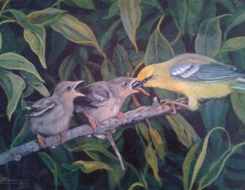 jorge castrillon