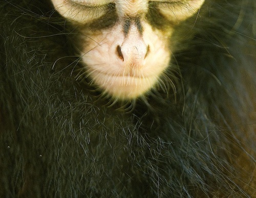 costa rica jim zuckerman