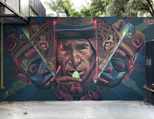 Gallery Of Street Art By Kiki - Brazil