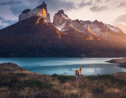 Gallery Of Photography By Marco Grassi - Argentina
