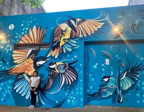 Gallery Of Street Art By Fio Silva - Argentina